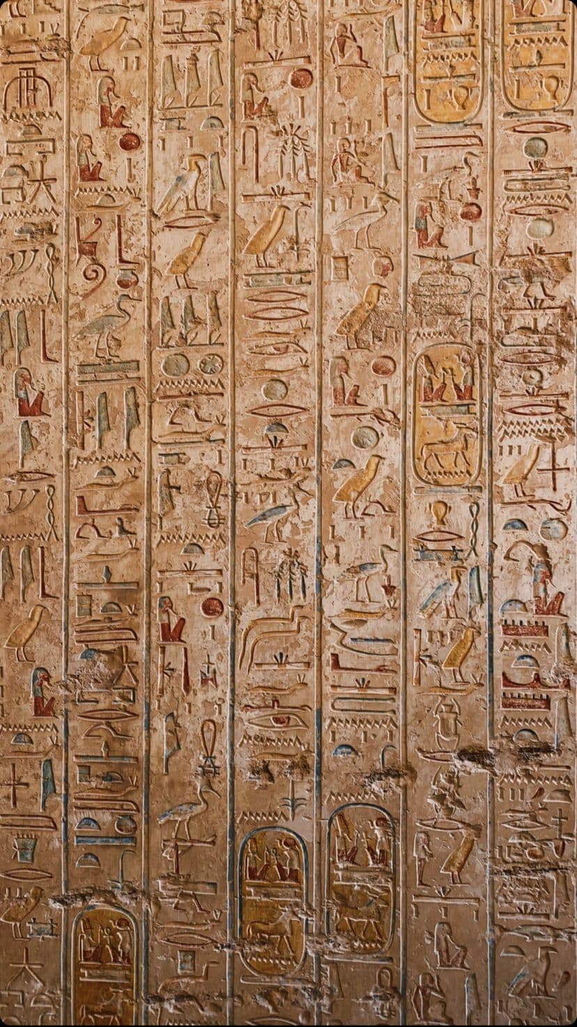 Columns of painted hieroglyphs covering a tomb wall floor to ceiling