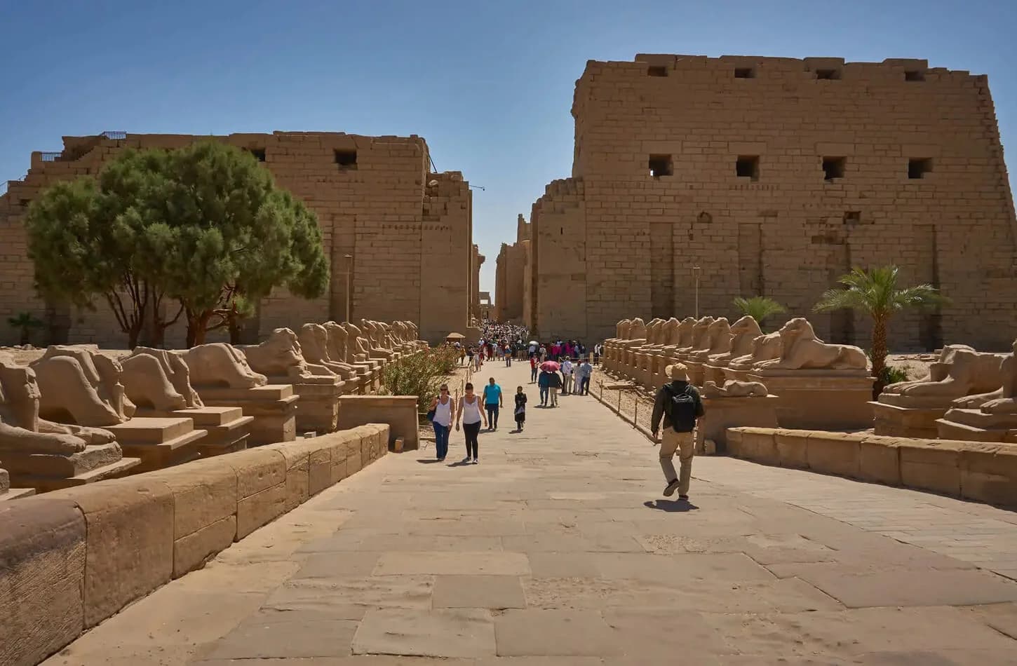 Luxor Tours from Makadi Bay